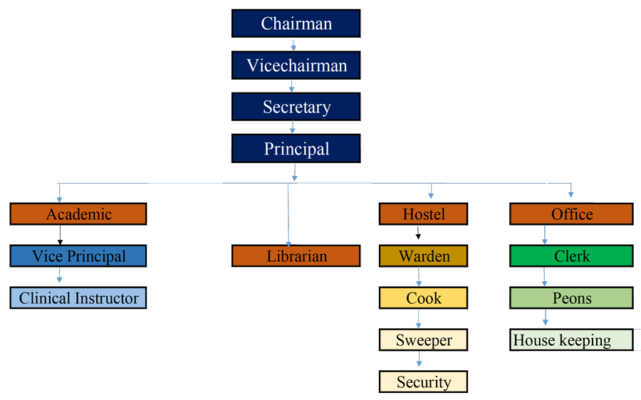Organizational Chart of Nursing College